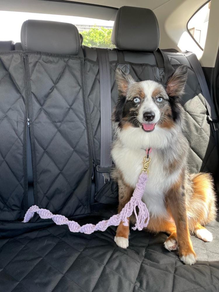 Customer photo review of Rear Seat Cover for Fold Down Seats with Hammock - Regular