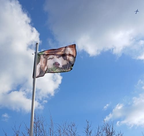 Customer photo review of Fahne inkl. Druck