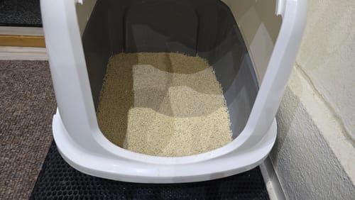 Customer photo review of Naturreines Katzenstreu