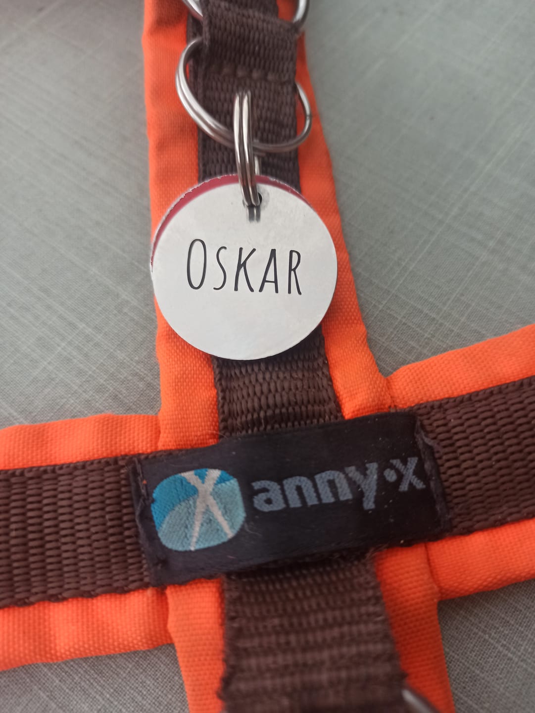 Customer photo review of Runde Hundemarke mit Gravur, Name und Telefon personalisiert