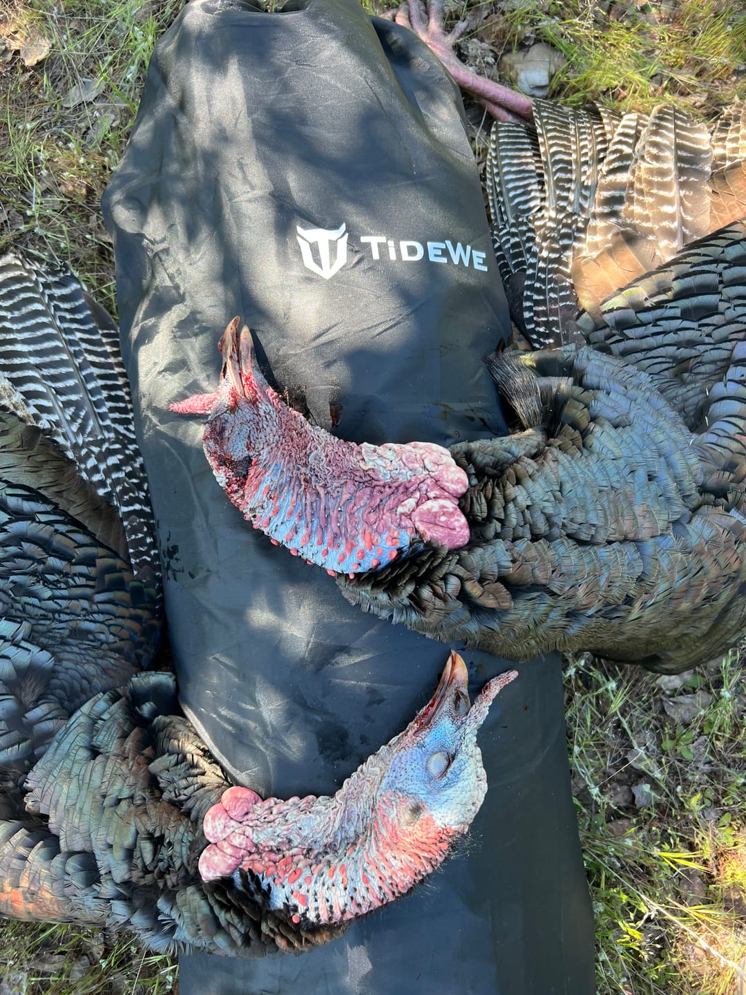 Customer photo review of VisST See-Through Pop-Up Ground Blinds with Silent Magnetic Door