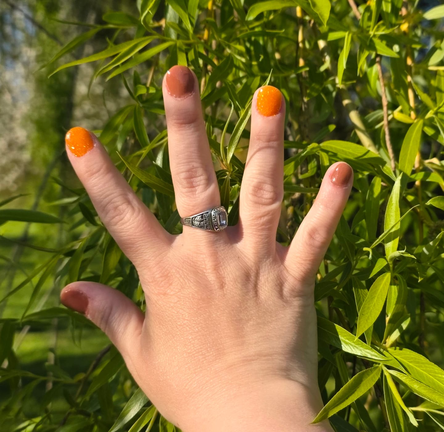 Customer photo review of Tangerine Orange Dipping Powder