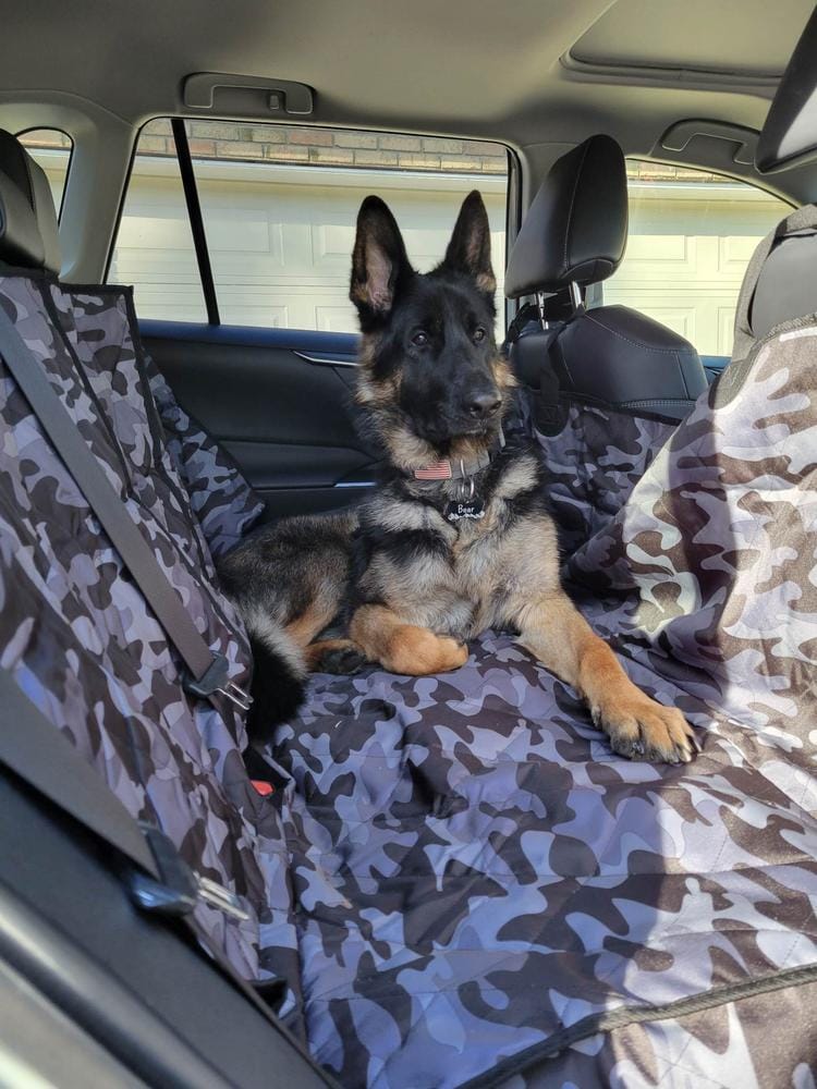 Customer photo review of Rear Seat Cover for Fold Down Seats with Hammock - Regular