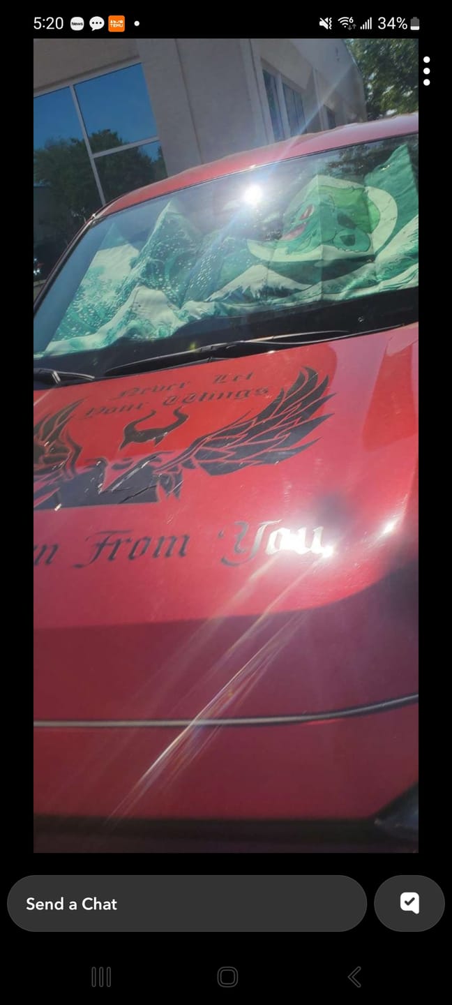 Customer photo review of Bulbasaur Car Sunshade Custom Pokemon Car Accessories