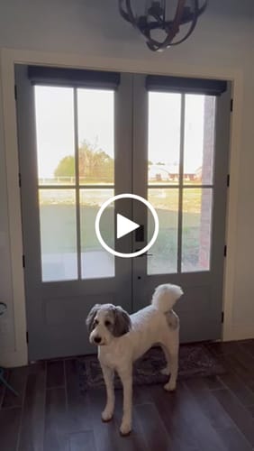Customer video review of SmartWings Motorized Light Filtering Roller Shades 70% Blackout Safari