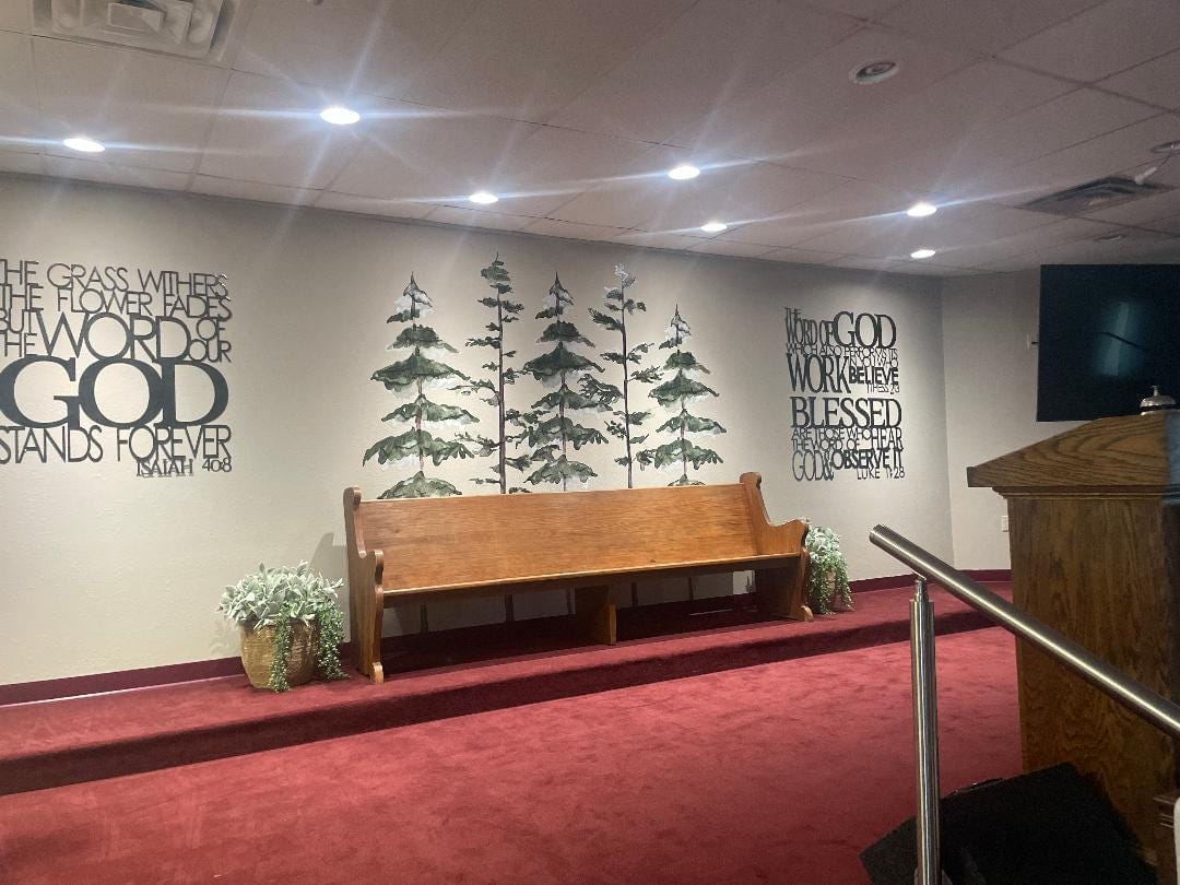 Customer photo review of Large Watercolor Pine Tree Removable Wall Decal