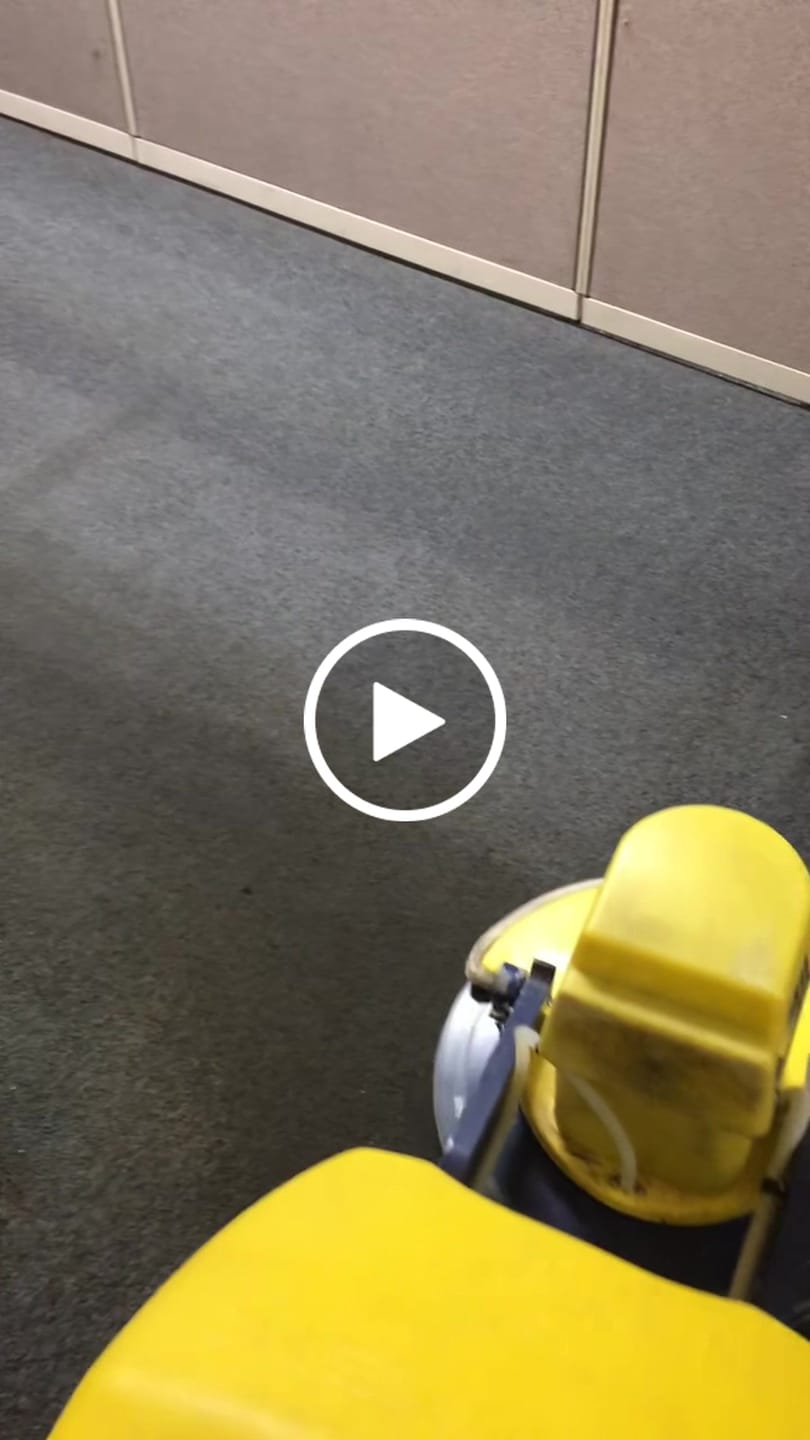 Customer video review of FiberPlus MAX Carpet Cleaning Pads 8 inch (Case of 15) Commercial Carpet Cleaning Supplies (for 19" Cimex)