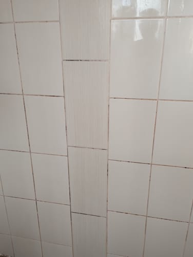 Customer photo review of GLASSGUARD® Miracle Mould Removal Gel