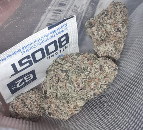 Customer photo review of Airhead Xtremes