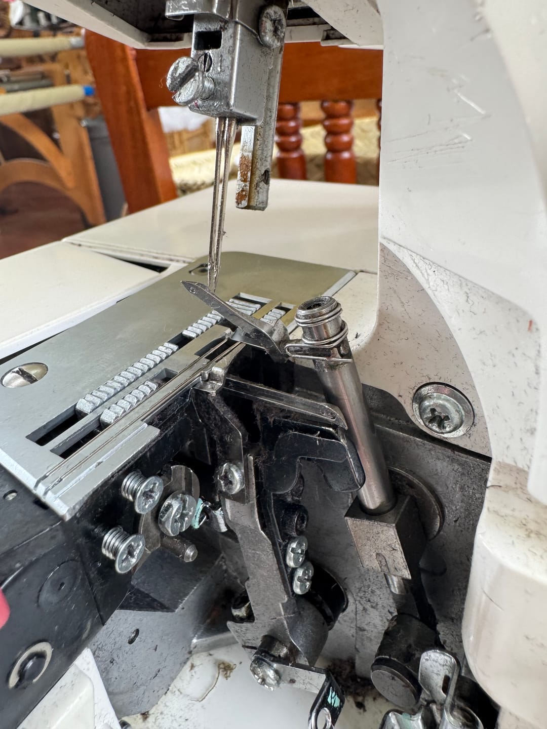Customer photo review of Needle Plate, Janome