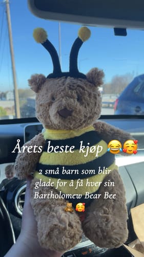Customer photo review of Bartholomew Bear Bee | Jellycat