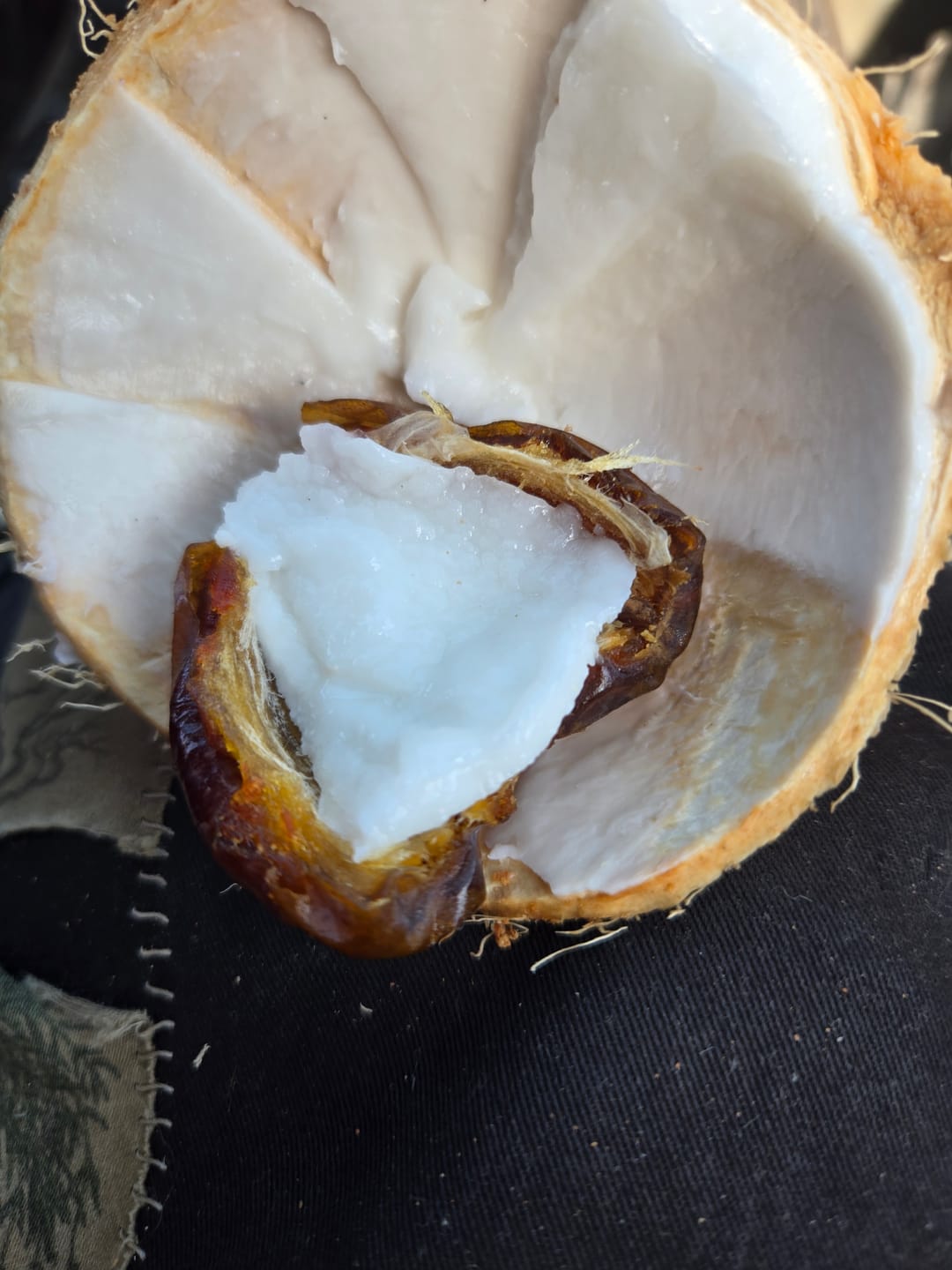Customer photo review of Organic Large Medjool Dates Box