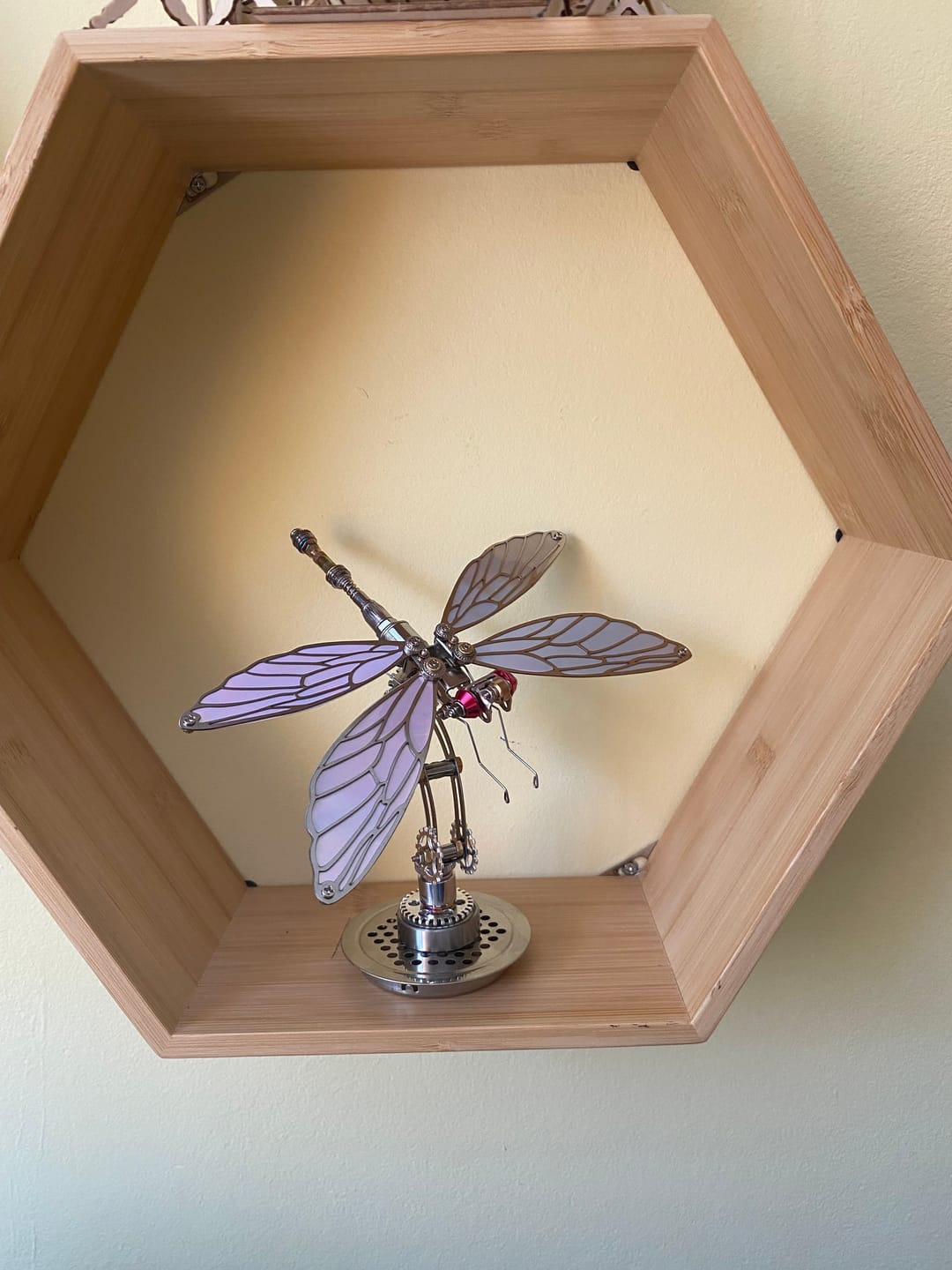 Customer photo review of Dragonfly