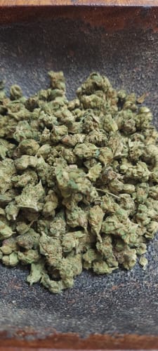 Customer photo review of Jack Herrer - 14 Grams Littles - Sativa