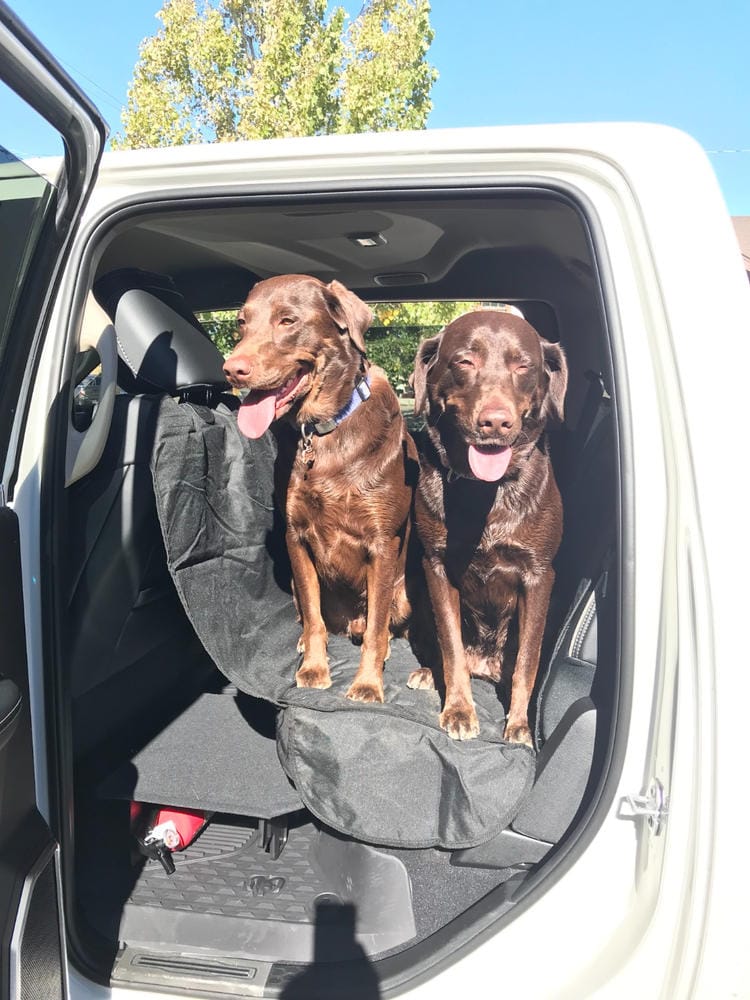 Customer photo review of Rear Seat Cover for Fold Down Seats - No Hammock - XL