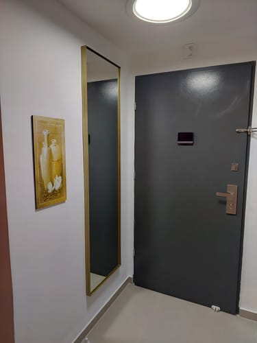 Customer photo review of דלת מראה להסתרת ארון חשמל