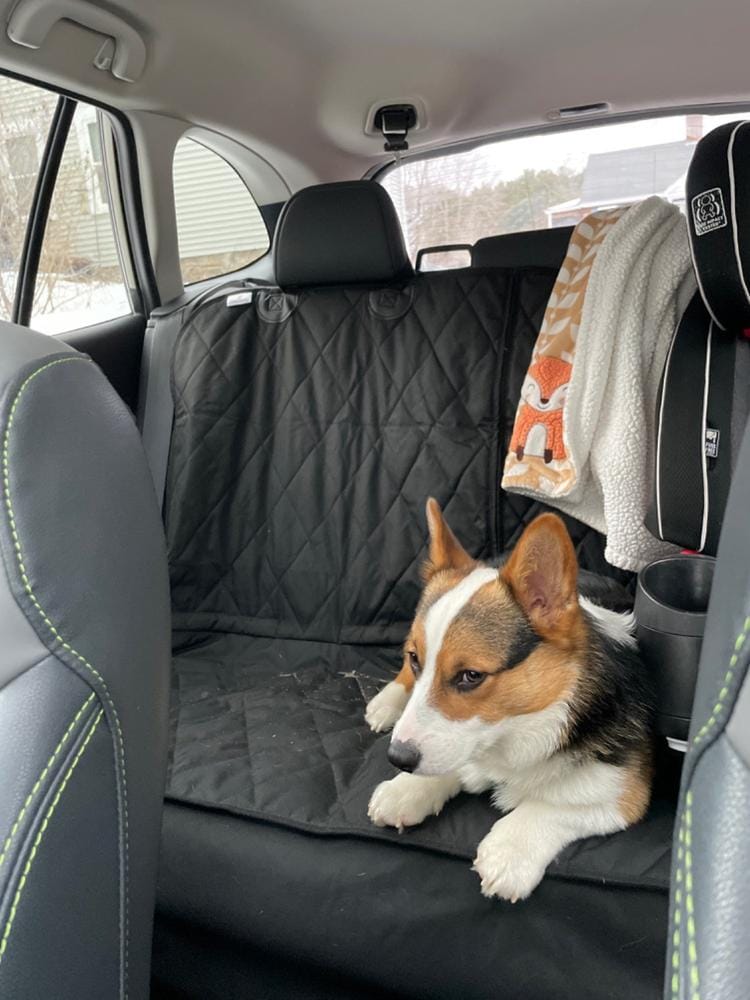 Customer photo review of Rear Seat Cover for Fold Down Seats - No Hammock - XL