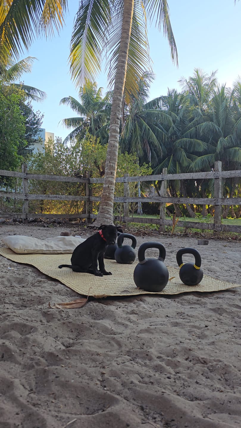 Customer photo review of Kettlebell Premium 4 a 36 kg IRONSIDE
