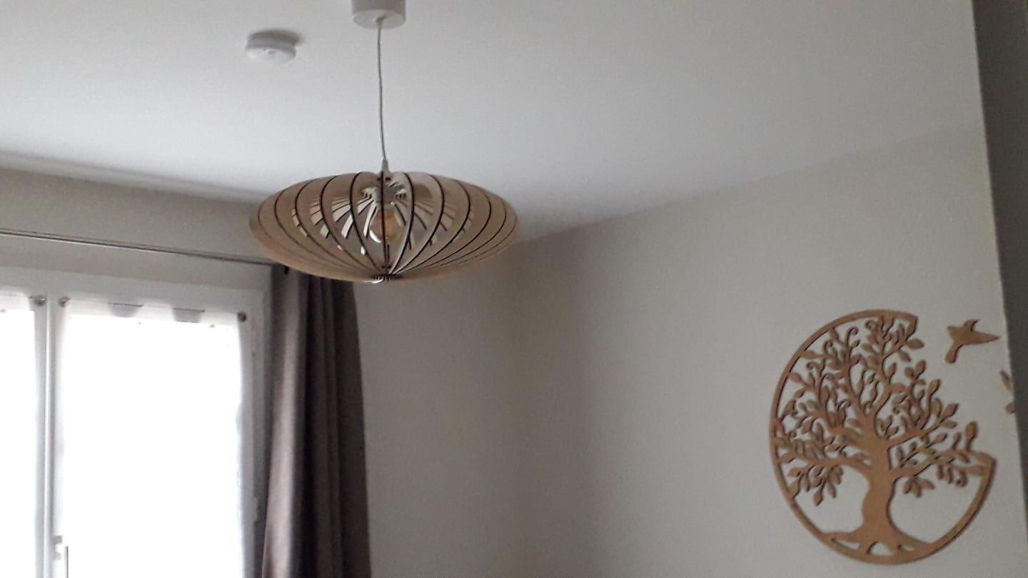 Customer photo review of Mini NEO | Suspension