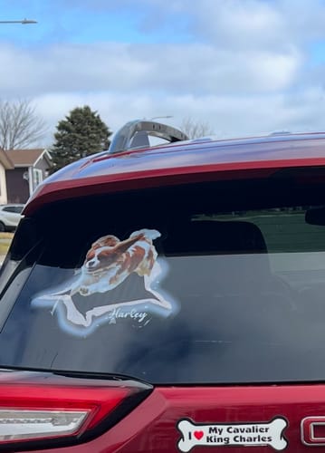 Customer photo review of Personalized Pet lover Crack Car Sticker
