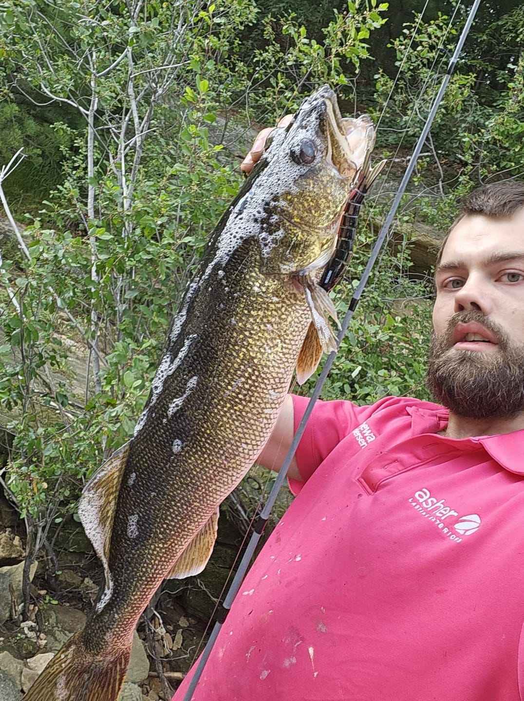 Customer photo review of Craz Crankbait Fishing Lures Saltwater Freshwater