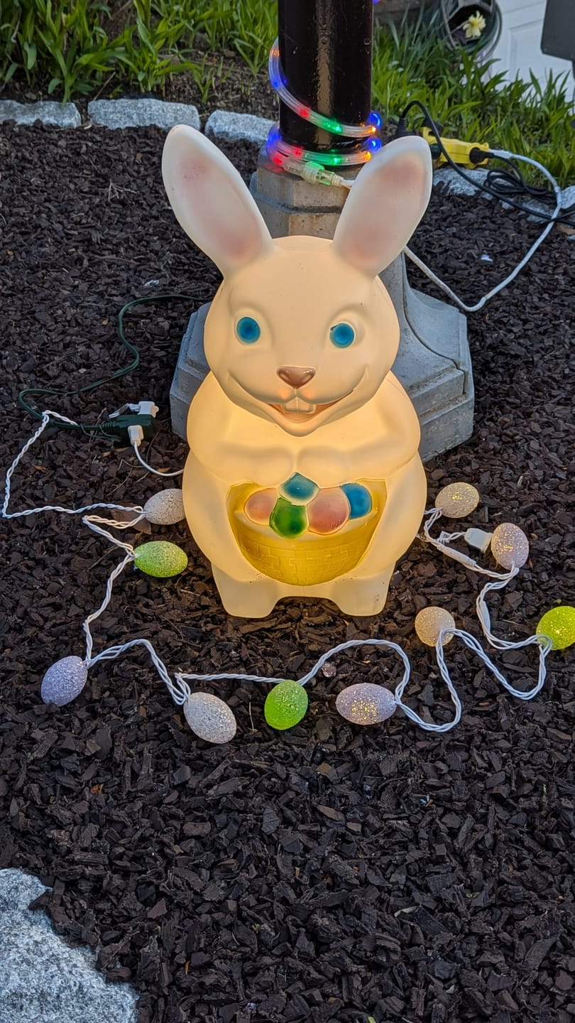 Customer photo review of 10 Indoor LED Mini String Lights, 8.35 FT White Cord