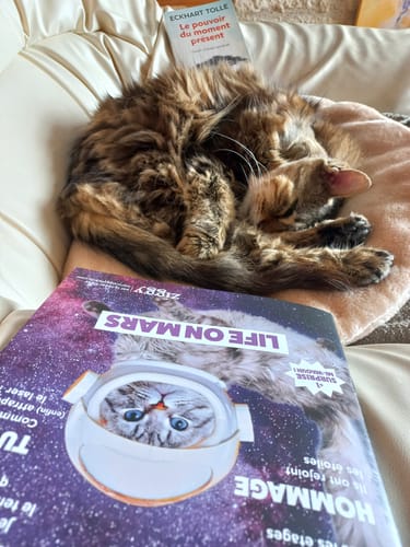 Avis photo d'un client sur Croquettes Chat Stérilisé Sans Céréales - Saumon