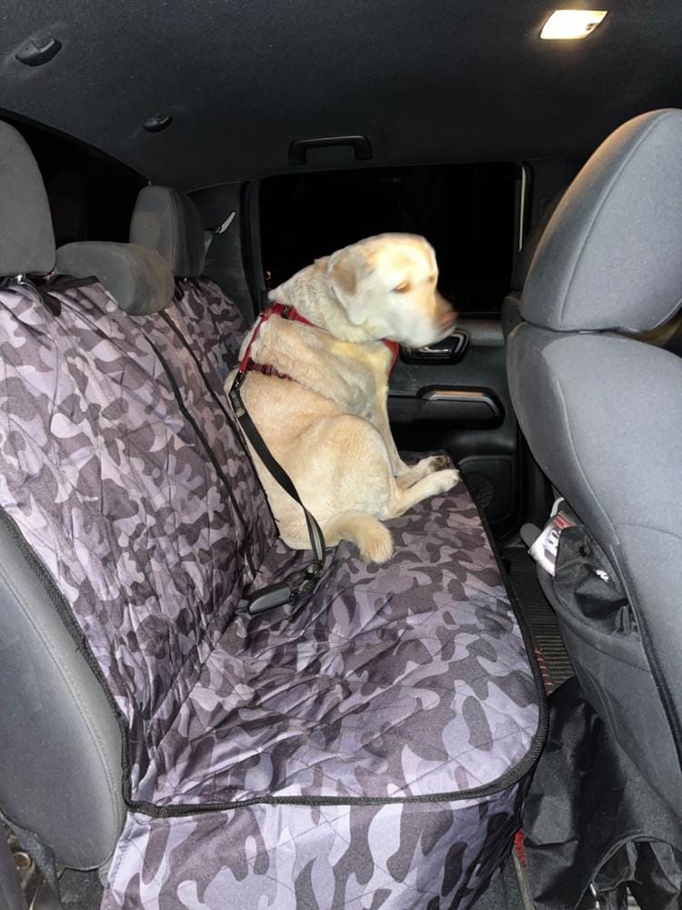 Customer photo review of Rear Seat Cover for Fold Down Seats - No Hammock - Regular