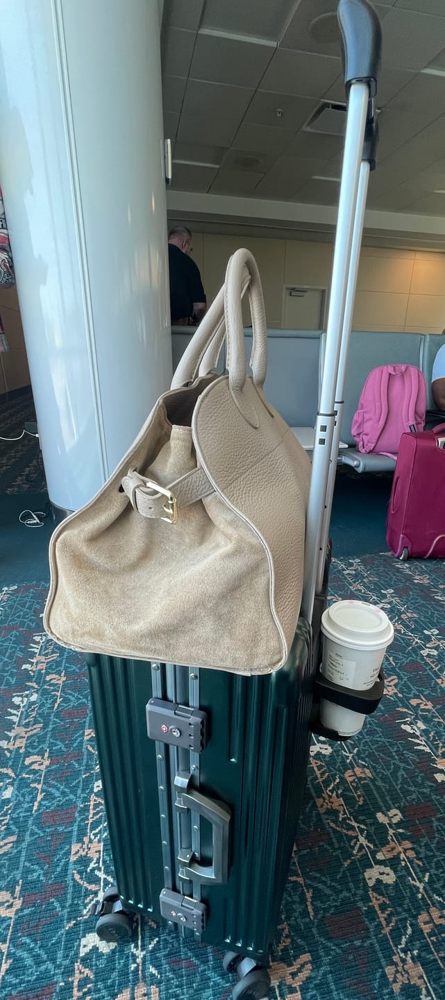 Customer photo review of Check-In Medium: All-In-One 24"