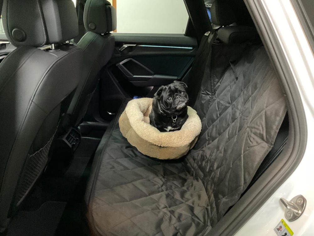 Customer photo review of Rear Seat Cover for Fold Down Seats - No Hammock - XL
