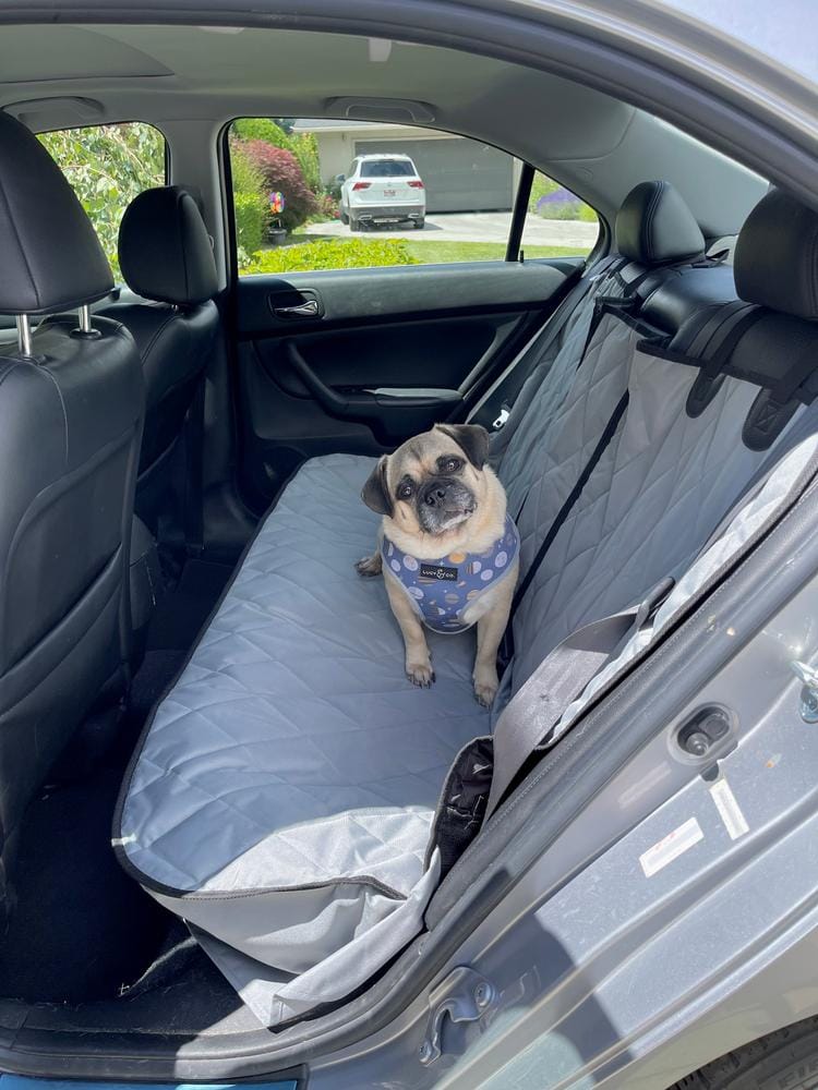 Customer photo review of Rear Seat Cover for Fold Down Seats - No Hammock - Regular