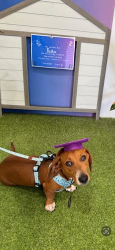 Customer photo review of Exclusive Printed Set [Pattern: Sun Showers] [Size: Extra Small]