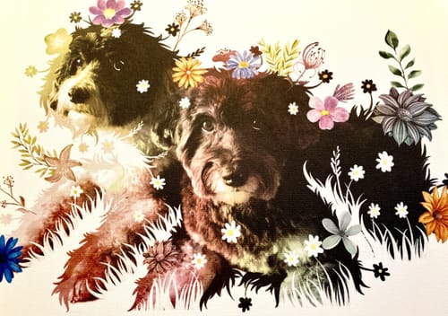 Customer photo review of Flowerpup Custom Pet Portrait