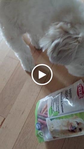 Customer video review of Trixie - Vegan sticks m. frugt og grøntsager