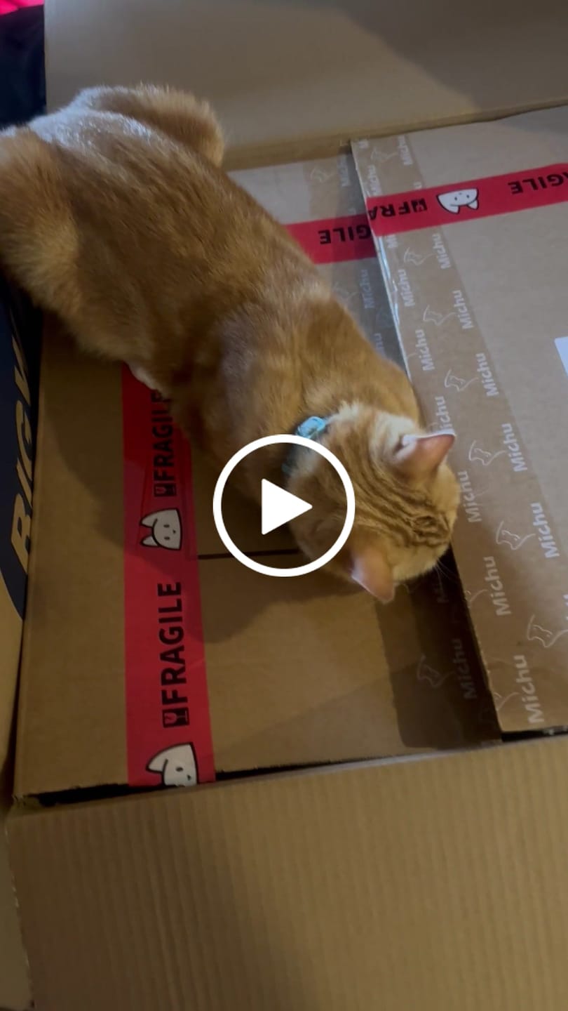 Customer video review of Michu XXL BoBa Deluxe Cat Litter Box - Spacious Design
