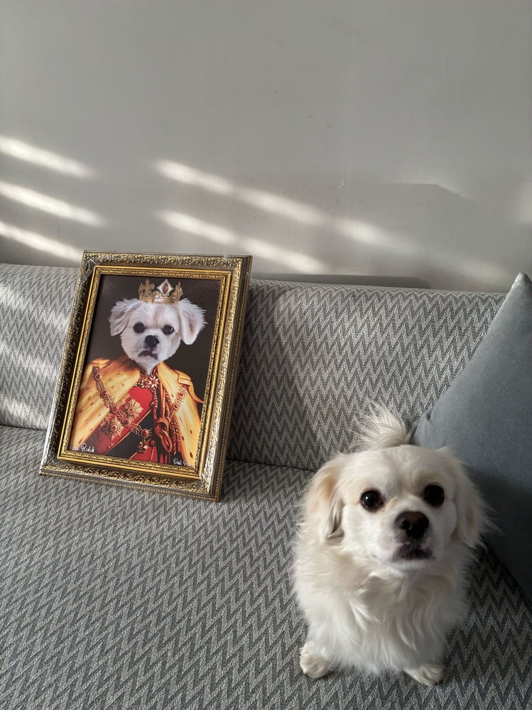 Customer photo review of The King of the Seven Kingdoms