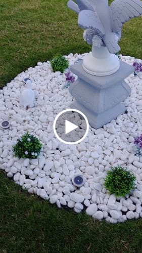 Customer video review of Small Potted Artificial Flowering Boxwood Plant UV Resistant 20cm