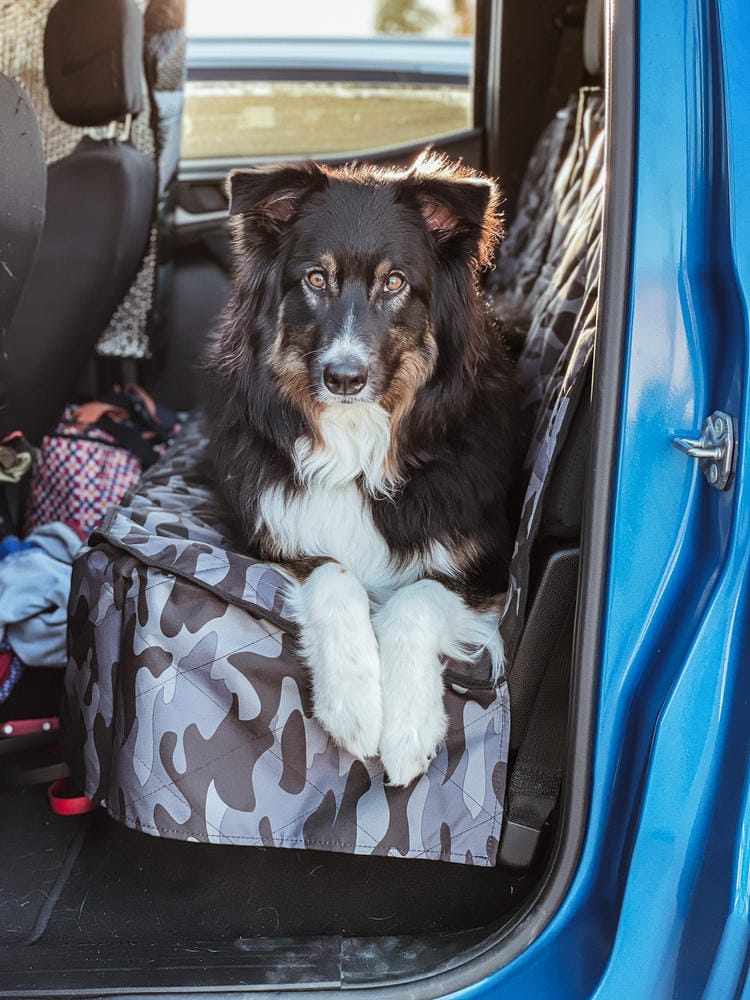 Customer photo review of Rear Seat Cover for Fold Down Seats - No Hammock - XL