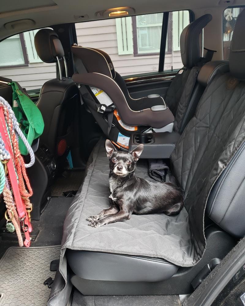 Customer photo review of Rear Seat Cover for Fold Down Seats - No Hammock - XL