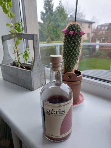 Customer photo review of GĖRIS - fermentuotas juodųjų serbentų gėrimas