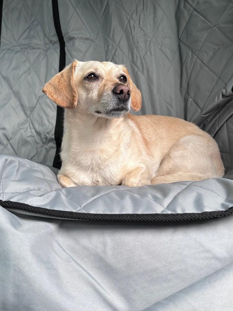 Customer photo review of Rear Seat Cover for Fold Down Seats - No Hammock - Regular