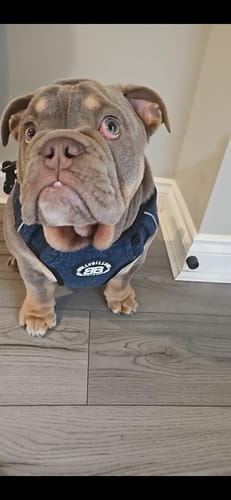 Customer photo review of Item Personalization