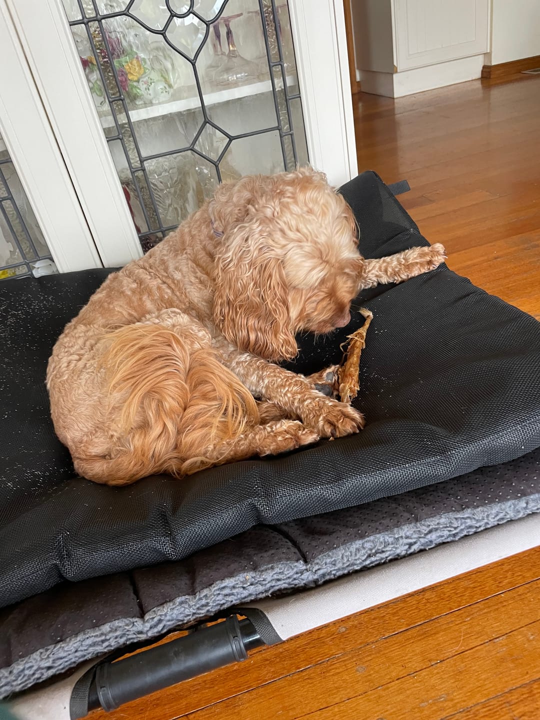Customer photo review of Kangaroo Tail Tips!