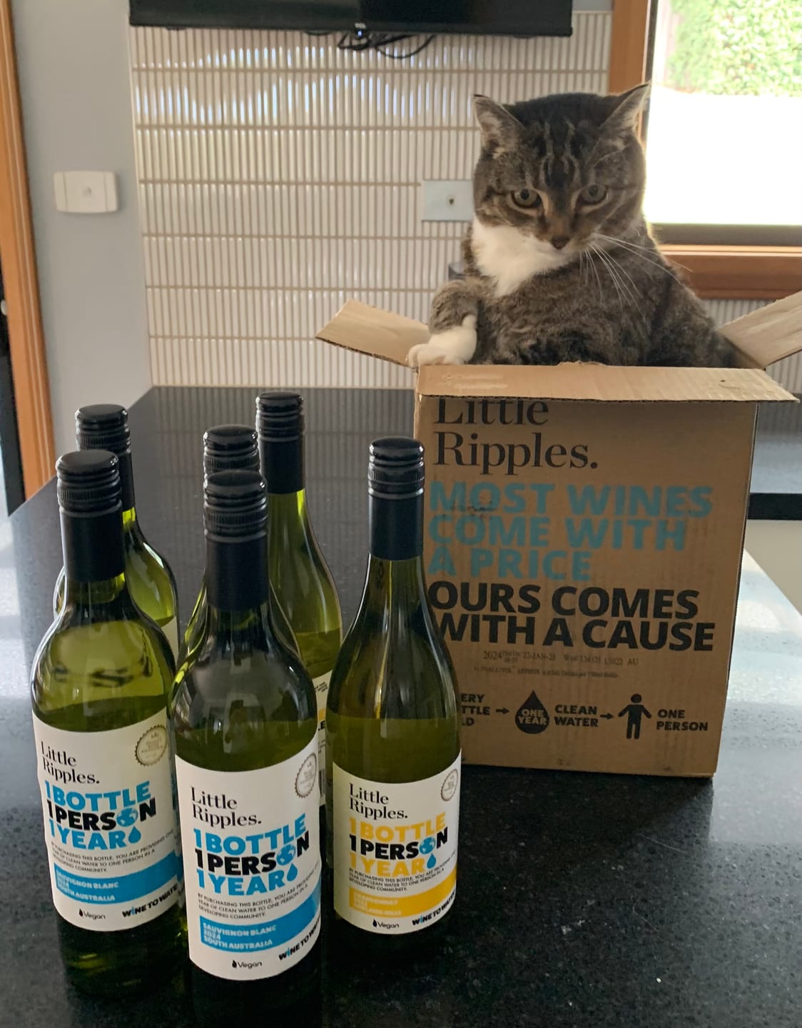 Customer photo review of Mixed Whites - 6 Pack