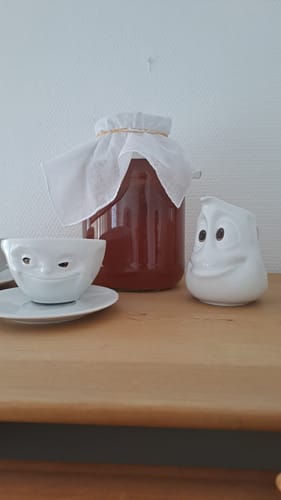 Customer photo review of BIO Kombucha-Starterset: Vollausstattung mit Premium Scoby