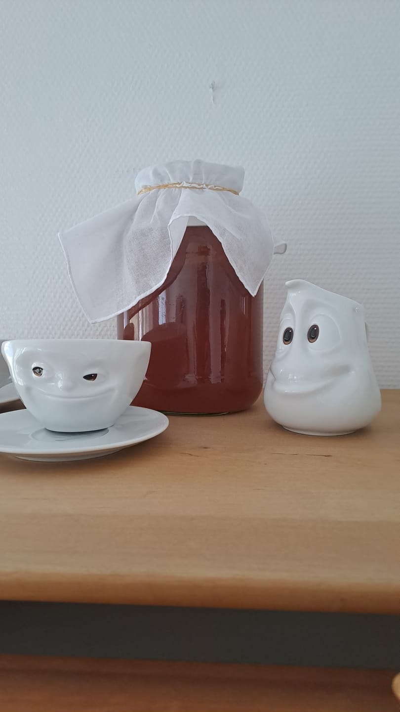 Customer photo review of BIO Kombucha-Starterset: Vollausstattung mit Premium Scoby