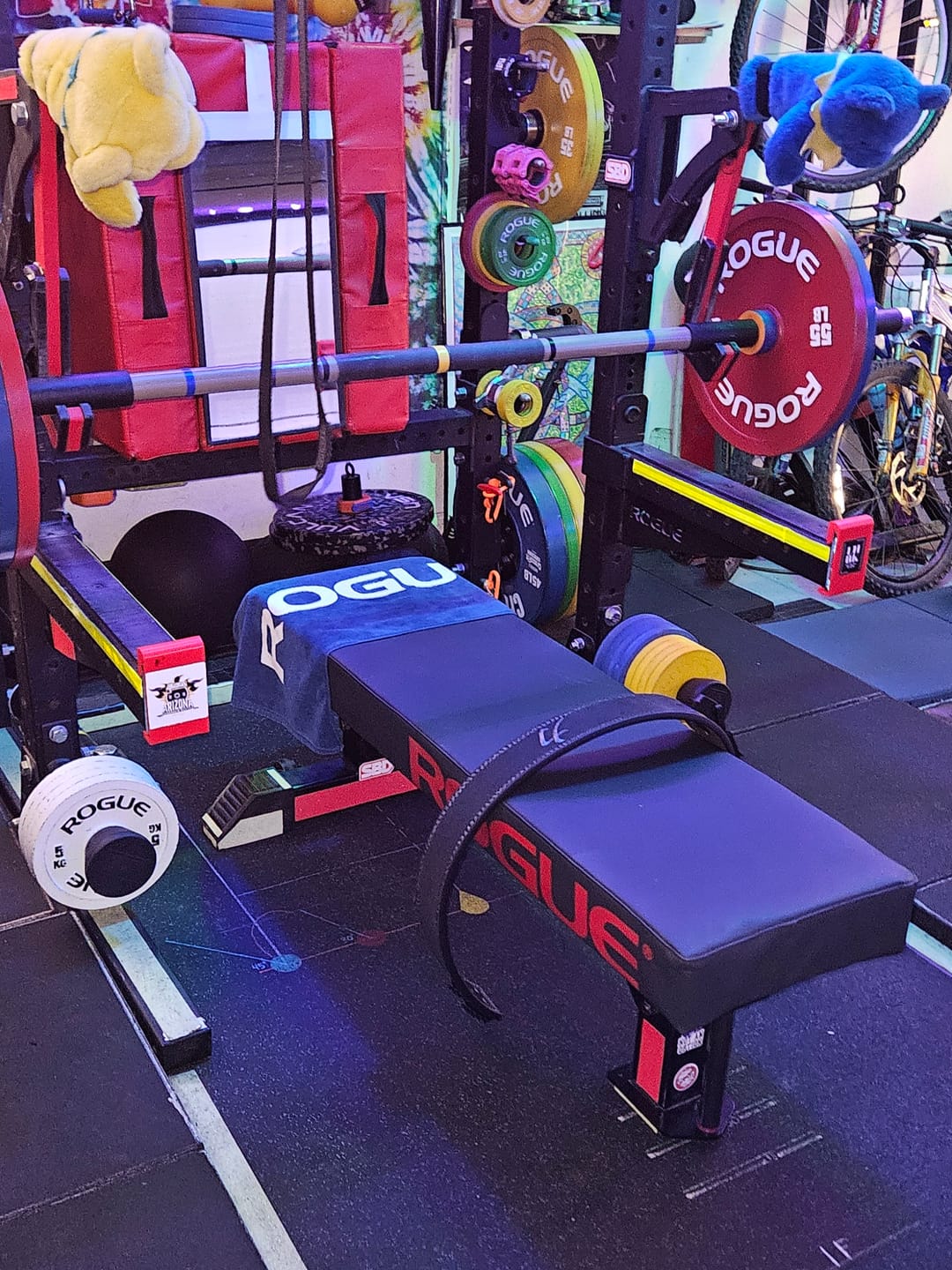 Customer photo review of 10MM Lever Belt 3" Wide - Black - IPF Approved