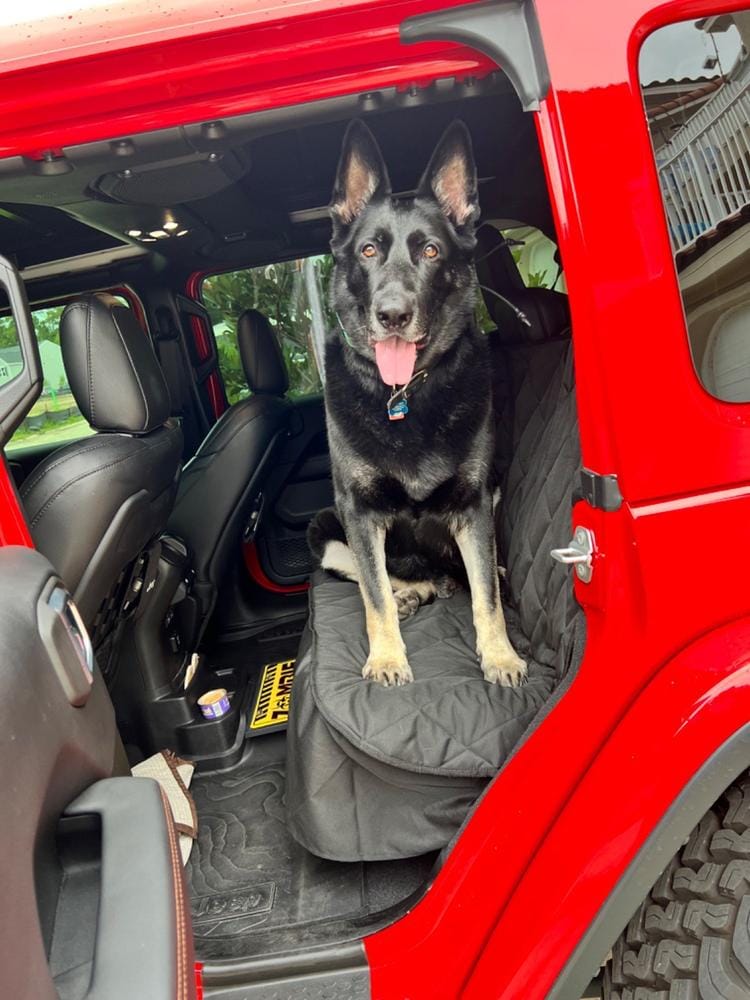 Customer photo review of Rear Seat Cover for Fold Down Seats - No Hammock - XL