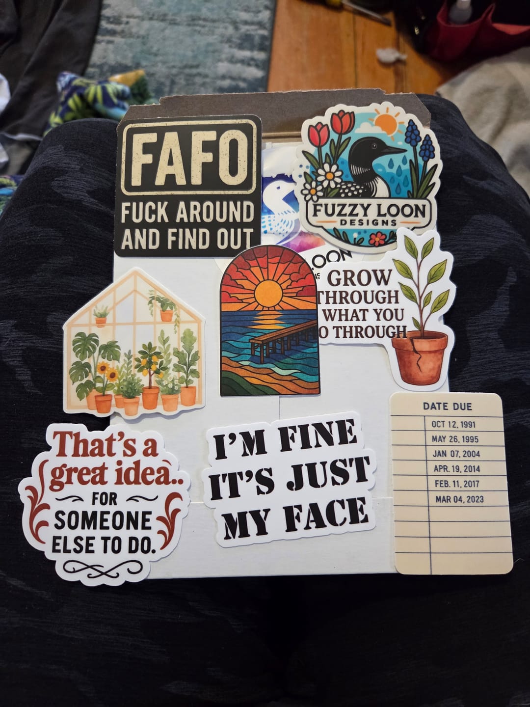 Customer photo review of STICKER CLUB | Monthly Sticker Subscription