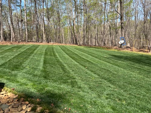 Customer photo review of N-Ext RGS Soil & Plant Stimulant